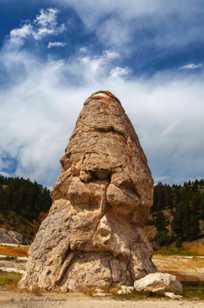 Liberty Cap-7693.jpg Liberty Cap-7693.jpg